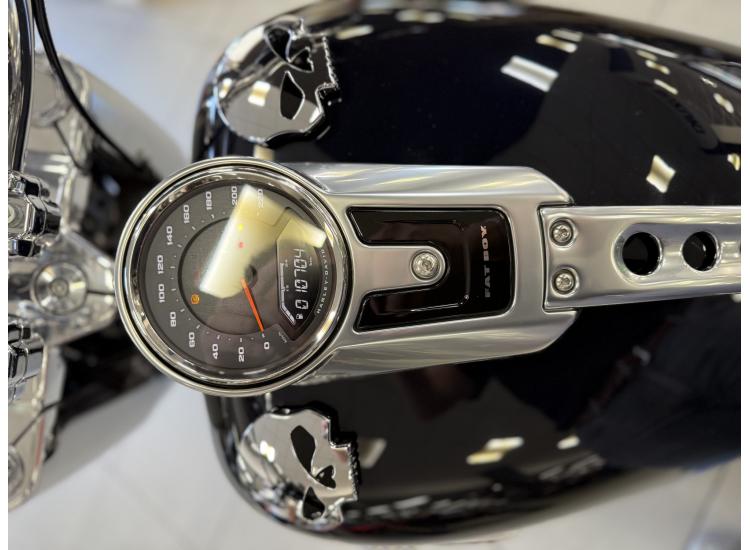 HARLEY-DAVIDSON SOFTAIL FAT BOB 1868